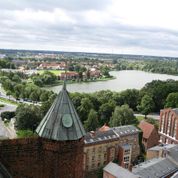 2015 Marienkirche HST Beurteilung Dachspitze Querhaus Süd -5